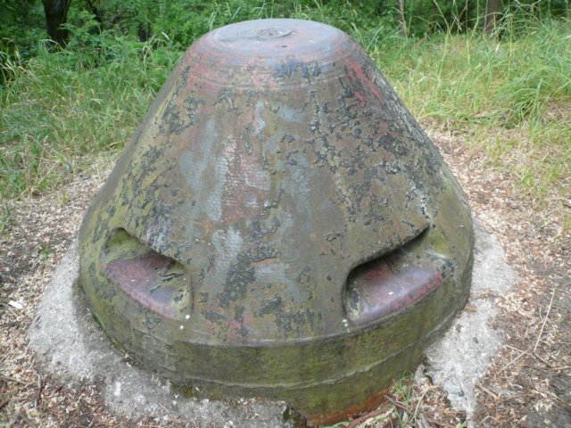 photo5.jpg