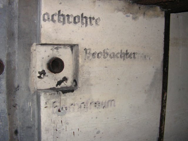photo7.jpg