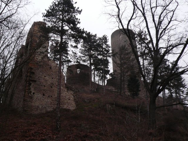 photo7.jpg