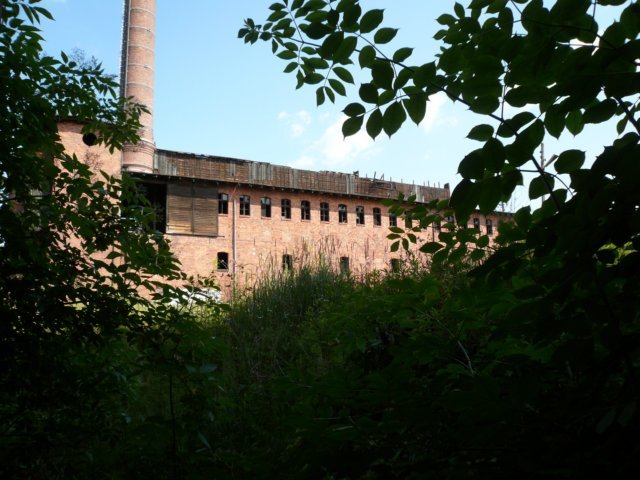photo3.jpg
