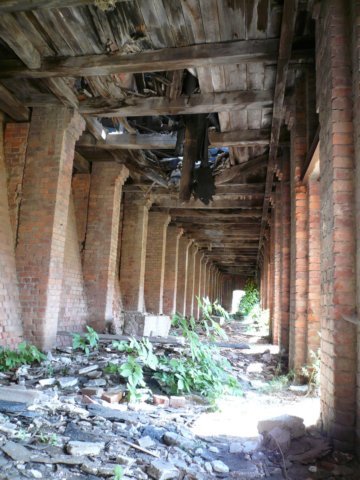 photo6.jpg