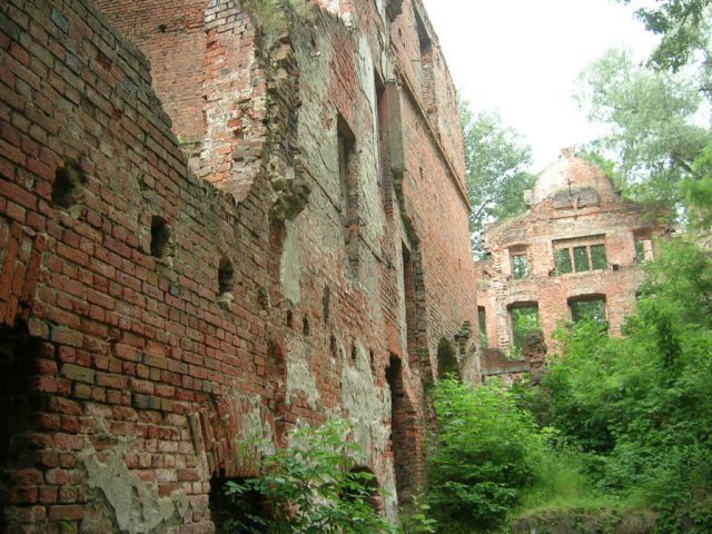 photo7.jpg