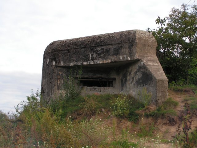 photo.jpg