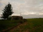 photo11_small.jpg