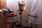 photo12_small.jpg